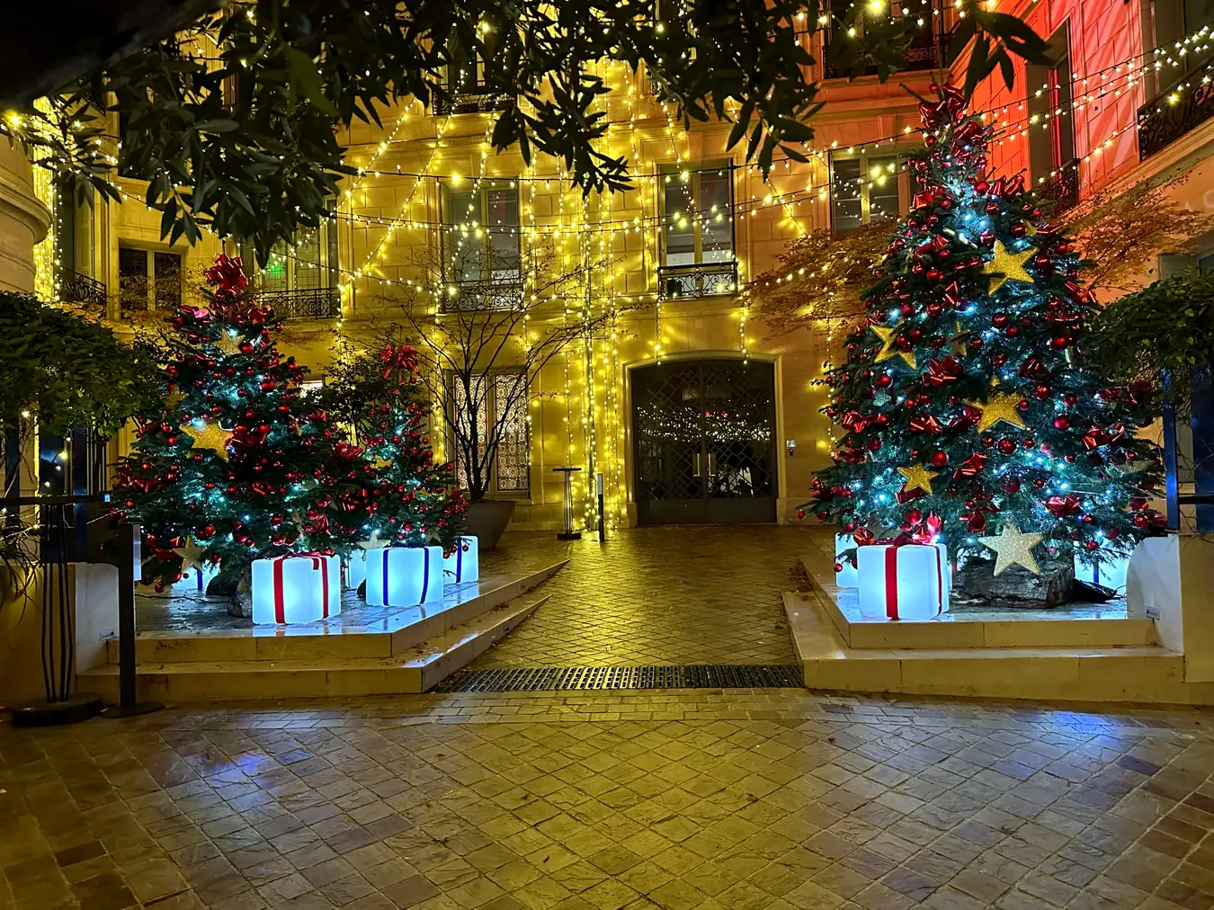 Grande cour décorée de sapins de Noël illuminés